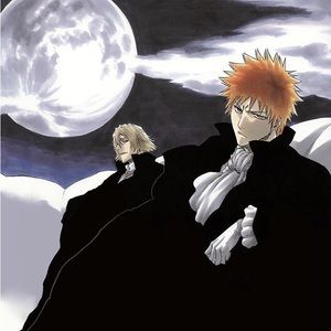 Meet your Posher, Bernard